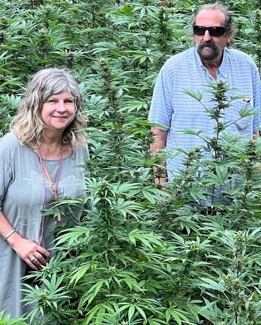 Montego Bay: Marijuana Farm Private Tour with Transportation - Product tasting: extracts, infusions, and a smoker-friendly vibe