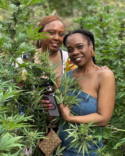 Montego Bay: Marijuana Farm Private Tour with Transportation - Meet your guide and the farm staff: Carlos, TJ, and the House of Sheba factor