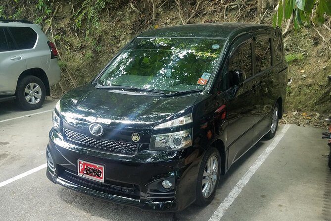 Montego Bay Private Airport Transfer - Key Things to Know Before You Go