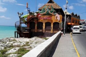 Montego Bay Private Shopping Tour with Hotel Pickup - Price, Timing, and How to Make the 2-Hour Window Work