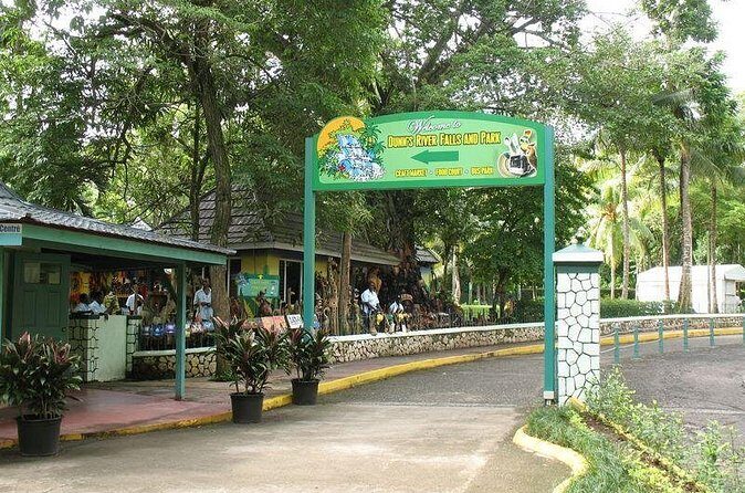 Montego Bay to Dunn's River Falls Half-Day Trip - What to pack: shoes, towel, water protection, and extra cash