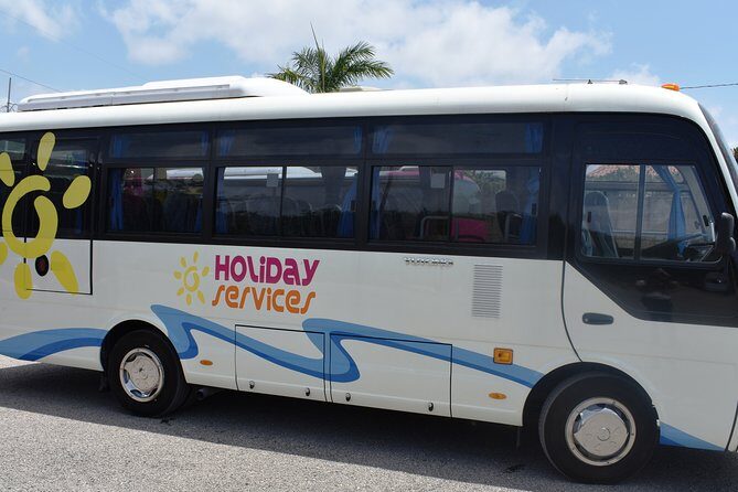 MontegoBay Airport to Ocho Rios: One way/Round Trip cheap Shuttle - Should You Book This Shuttle Transfer?