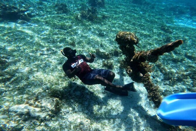 Negril Glass Bottom Boat Tour Snorkeling and Booby Cay - Key highlights worth circling in your Negril plans