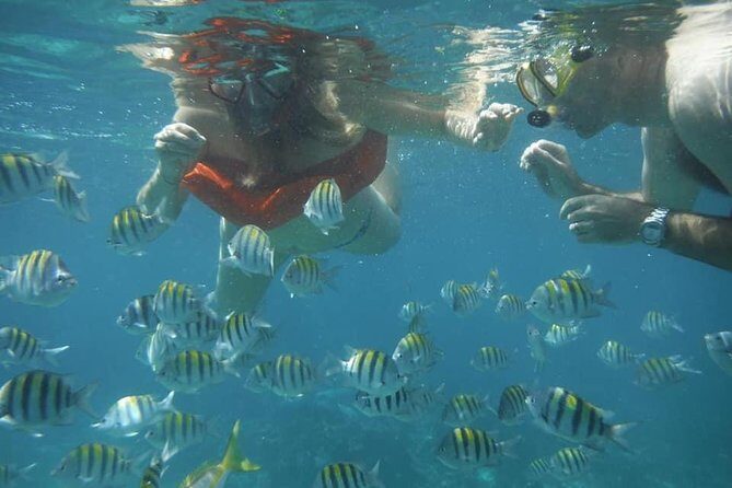 Negril Lobster Lunch on Booby Cay & Snorkeling To a Sunken Cannon - Key Highlights You Should Know