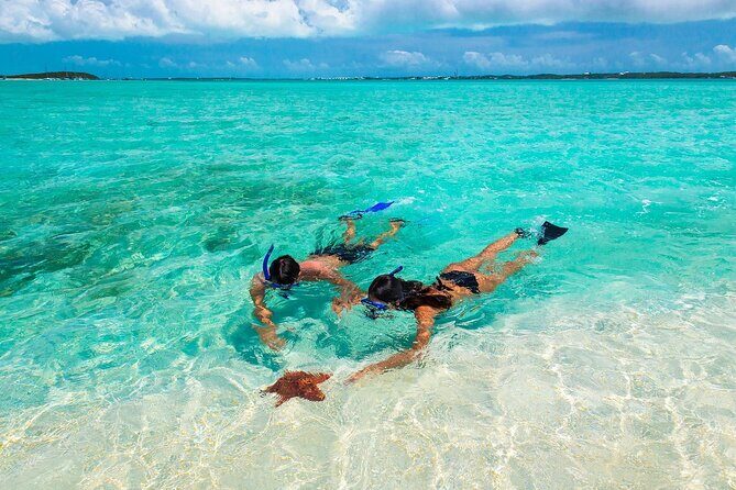Negril Seven Miles Beach, Snorkeling, Boat Ride, Ricks Cafe Combo - Key Points at a Glance