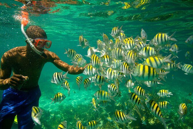 Negril Seven Miles Beach, Snorkeling, Boat Ride, Ricks Cafe Combo - What You’ll Actually Do: A Practical Timeline Feel