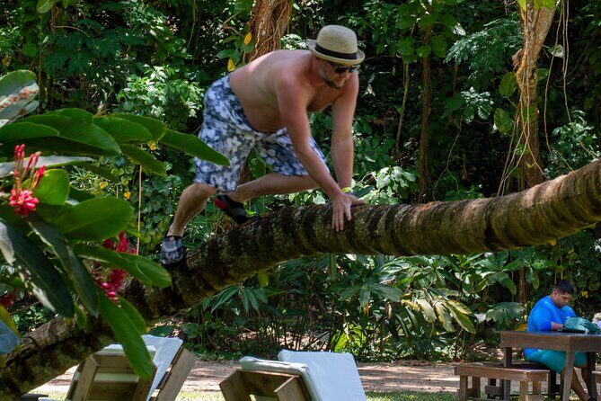 Ocho Rios: Amazing Blue Hole and Chill at Reggae Hill - Price and value: what $79 really buys you