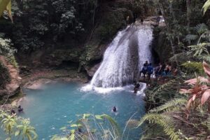 Ocho Rios Blue Hole and Dunn's River Falls Tour - Price and Value: Why $89.72 Feels Reasonable Here