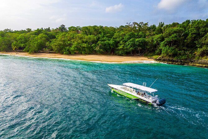 Ocho Rios Powerboat & Dunn’s River Falls Adventure - Hotel Pickup, Mobile Ticket, and Why It Matters