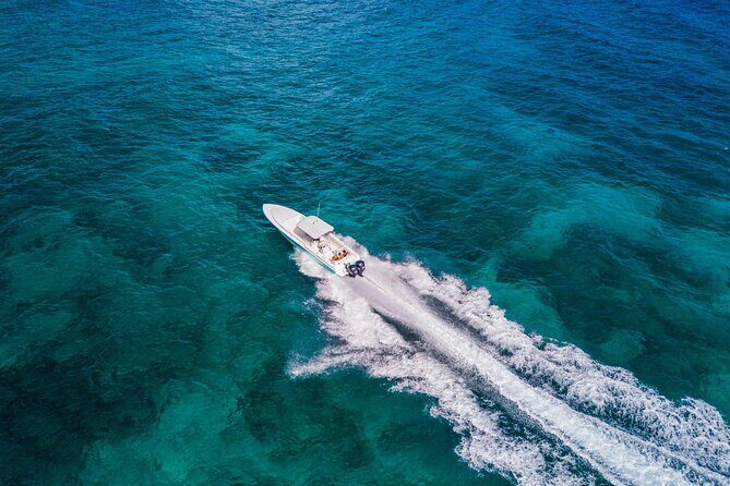 Ocho Rios Powerboat & Dunn’s River Falls Adventure - Lunch in Jamaica: Classic Fare and Real Downtime