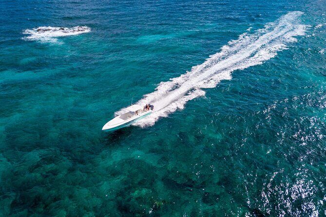 Ocho Rios Powerboat & Dunn’s River Falls Adventure - Guides, Group Size, and Getting Attention When You Need It