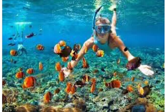Party Catamaran and Snorkeling Tour in Montego Bay - Group Size Reality: Up to 200 People, So Choose Your Mood