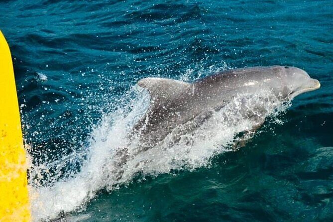 PARTY Catamaran Cruise with Snorkeling Rick's Cafe ADULTS ONLY - Group size and comfort: what “maximum 120” means for your day