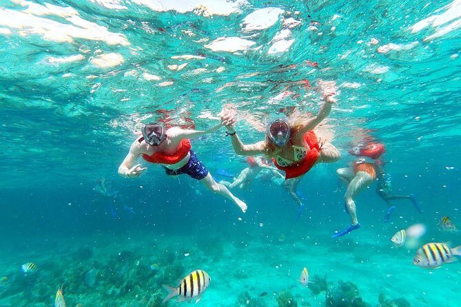 Party Catamaran: OpenBar, Music, Negril Beach, Caves, Snorkeling - Party Catamaran Value: what $90 really buys you