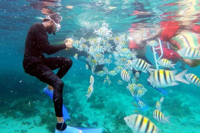 Party Catamaran: OpenBar, Music, Negril Beach, Caves, Snorkeling - Snorkeling expectations: good gear, watchful crew, and fish reality