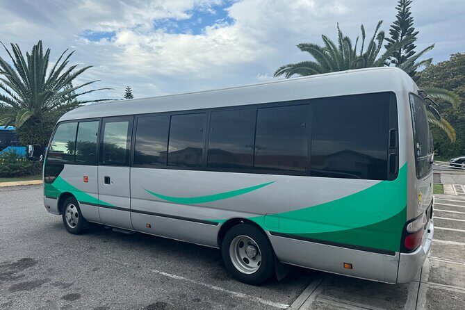 Private Airport Transfer from MBJ to Ocean Eden Bay - Who This Transfer Fits Best