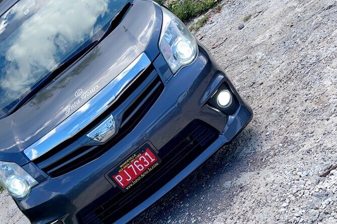 Private Airport transfer to/from all hotels in Negril round trip - Price and Value: Why $130 Per Group Can Still Be a Smart Move