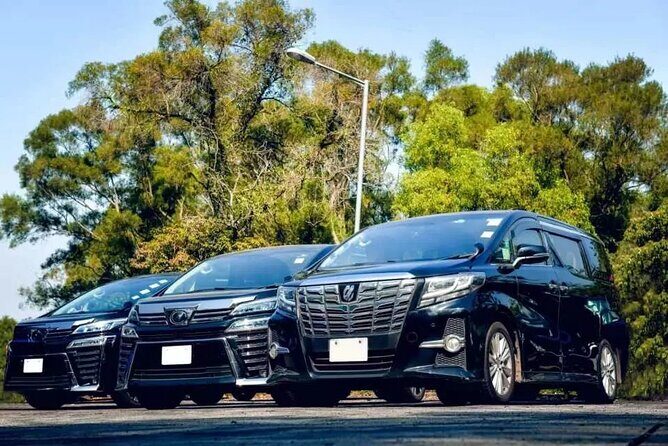 Private Airport Transfer to Grand and Luxury Bahia Principe - Key things to know before you book