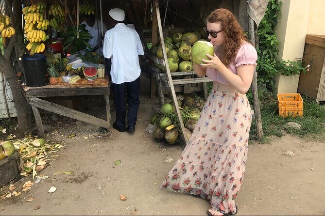 Private and Customize Highlight Tour to Montego Bay from Falmouth - Key Things to Know Before You Go