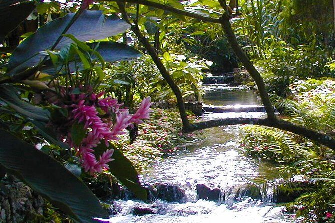 Private Combo Tour From Ocho Rios To Blue Hole & Konoko Falls - Konoko Falls First: A Rain Forest Garden With Real Climbing