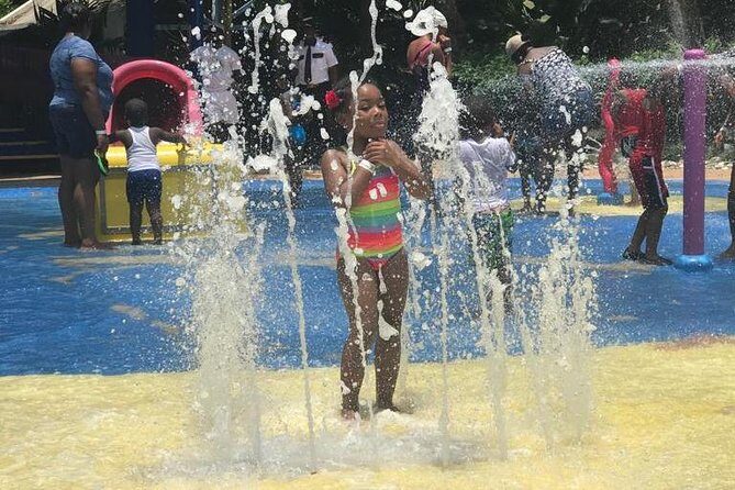 [PRIVATE] Dunn's River Falls with Entrance Fees - The guided climb: safety, pace, and why the right guide matters
