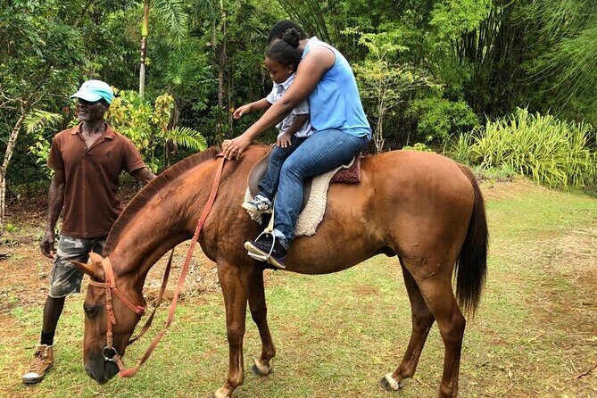 Private Guided Group Full-Day Water Tour fr Kingston to Portland - Reach Falls: walk, wade, and swim at Jamaica’s best-known kind of day