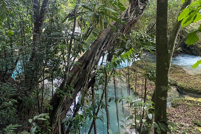 Private Horseback Riding with Blue Hole River Tour in Montego Bay - Horse time in Discover Bay: 45 minutes with beach views and birds
