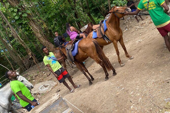 Private Horseback Riding with Blue Hole River Tour in Montego Bay - What you get for $80: private transport, drinks, and a photographer
