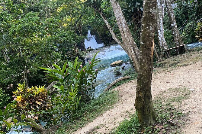 Private Horseback Riding with Blue Hole River Tour in Montego Bay - Who should book this horseback + Blue Hole tour?