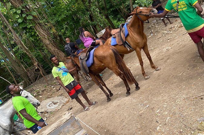 Private Horseback Riding with Blue Hole River Tour in Montego Bay - Tips to make your day smoother (and get better photos)