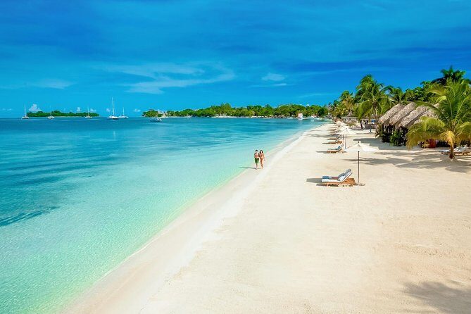 [PRIVATE] Negril Sightseeing Tour with RickS Cafe Cliff Diving - Negril highlights with a guide who actually gives you options