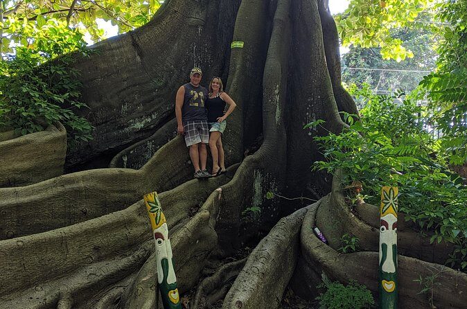 Private Ocho Rios highlight tour - Fern Gully: a short rainforest drive with a different feel