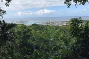 Private Sightseeing Tour in & Around Ocho Rios - The Botanical Gardens Area: Medicinal Plants and Spice Talk