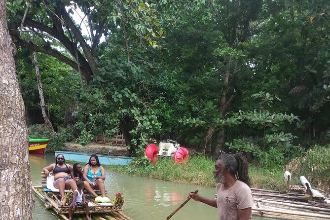 Private Sightseeing Tour in & Around Ocho Rios - Private Guide Extras: Why People Keep Mentioning Winston, Henry, and Leroy