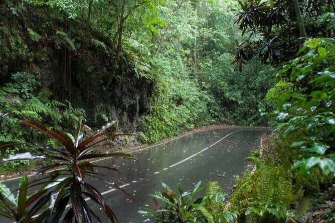Private Sightseeing Tour in & Around Ocho Rios - Transport and Comfort: Air-Conditioned Minivan Matters on a Short Day