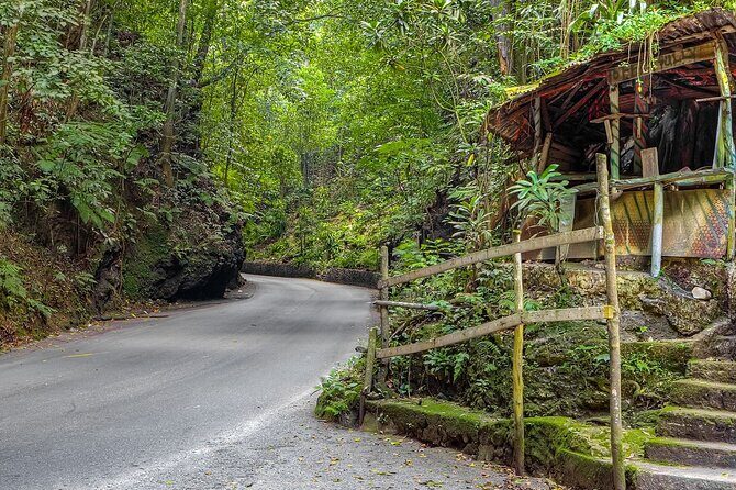 Private Sightseeing Tour in & Around Ocho Rios - Who This Tour Is Best For