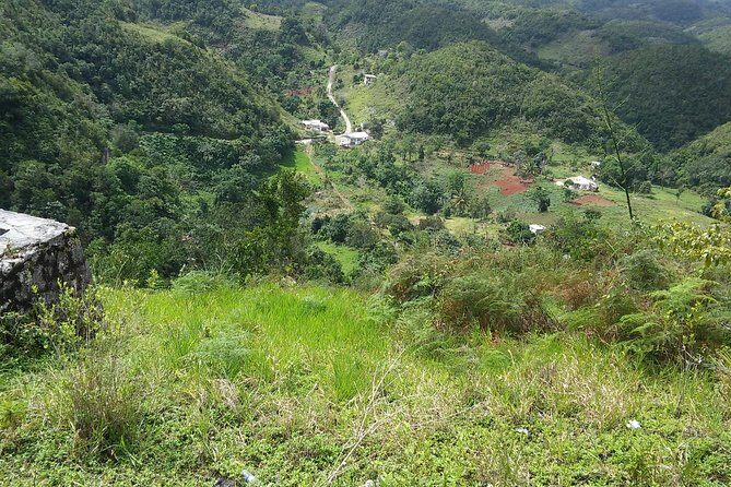 Private Tour Ocho Rios or Runaway Bay To 9 Mile Bob Marley Birth & Resting Place - Food, drinks, and what to budget for during the visit