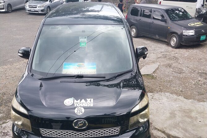 Private Transfer from Ian Fleming Airport to Ocho Rios - Airport pickup at Ian Fleming Airport: the first win is clarity