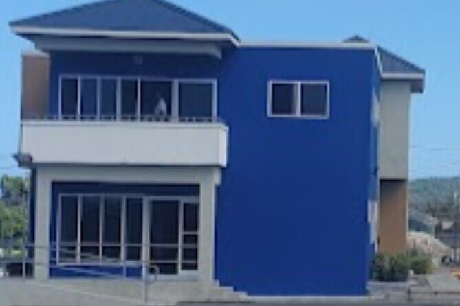 Private Transfer from Ian Fleming Airport to Ocho Rios - Departure pickup: hotel lobby to the airport departure gate
