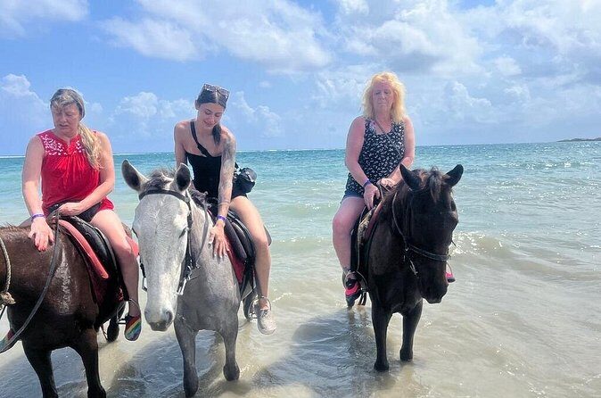 Private Transfer from Montego Bay Airport - Negril Hotels - The Ride Experience: Clean Cars, Air Conditioning, and Bottled Water