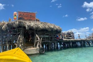 Private Transportation from Montego Bay to Appleton Estate & Pelican Bar - Joy Spence Appleton Estate Rum Experience: what you’ll actually do in those two hours