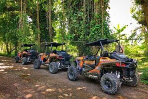 Rastafari Cultural ATV Community Experience from Montego Bay - Getting there: the 75-minute run and why timing matters