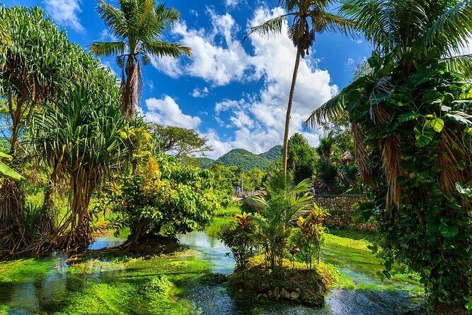 Rastafari Cultural ATV Community Experience from Montego Bay - The ganja field discovery and fruit tasting: cultural learning, not just a detour