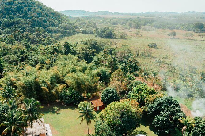 Rastafari Cultural ATV Community Experience from Montego Bay - ATV reality check: license, safety, and comfort tips