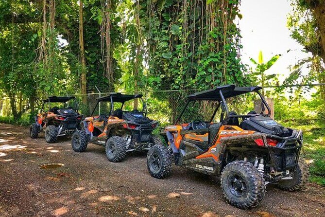 Rastafari Cultural ATV Community Experience from Negril - Quick hits before you ride
