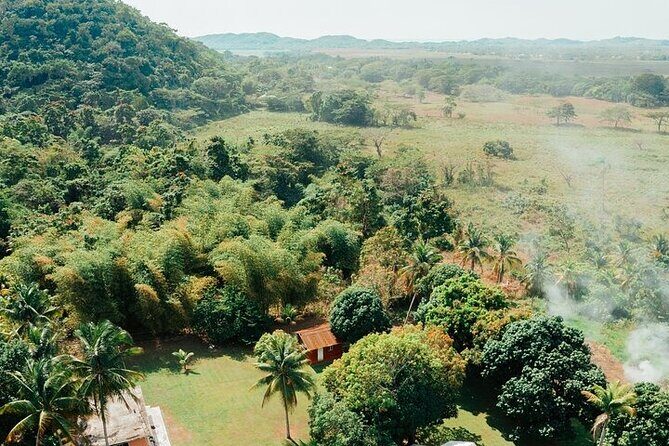 Rastafari Cultural ATV Community Experience from Negril - ATV Rasta Safari: What you’re really paying for
