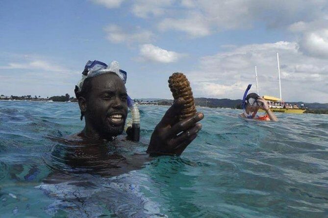 Rick's Cafe Sunset Cruise and Snorkelling - Price and Value: Is $90 Worth It?