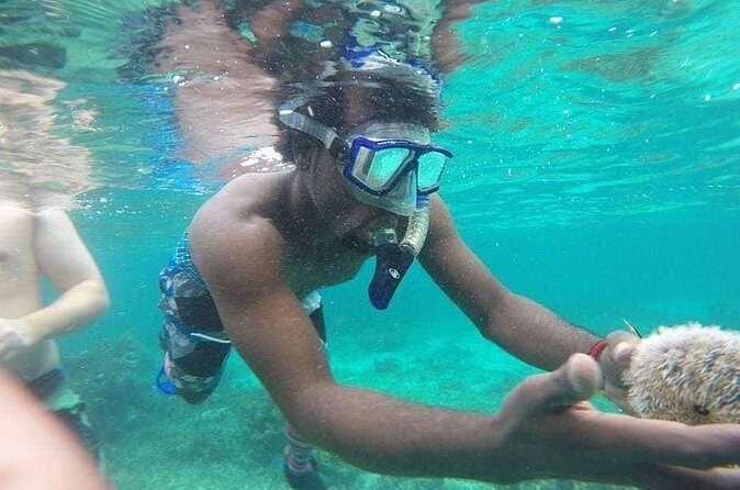 Rick's Cafe Sunset Cruise and Snorkelling - Who This Cruise Suits Best in Negril