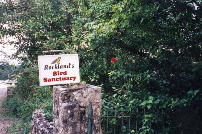 Rockland Bird Sanctuary Private Tour - Why Rockland Bird Sanctuary feels worth the trip from Montego Bay
