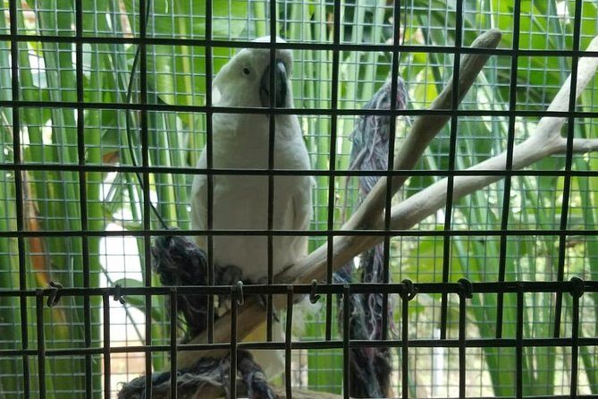Rockland Bird Sanctuary Private Tour - Inside Rockland Bird Sanctuary: what you’ll do and what makes it special